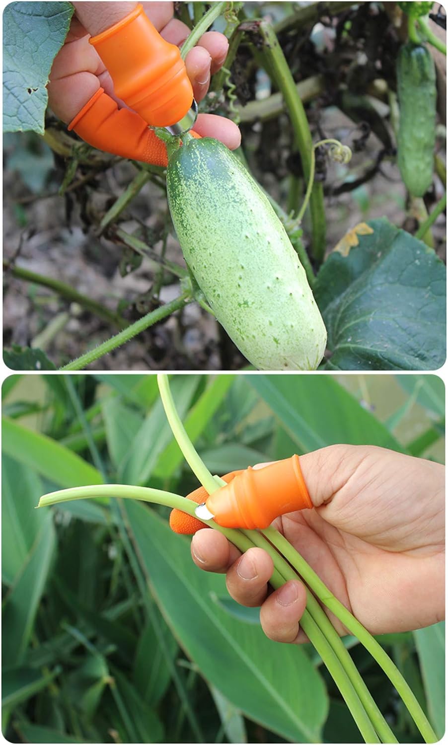 Silicone Thumb Knife Set for Harvesting